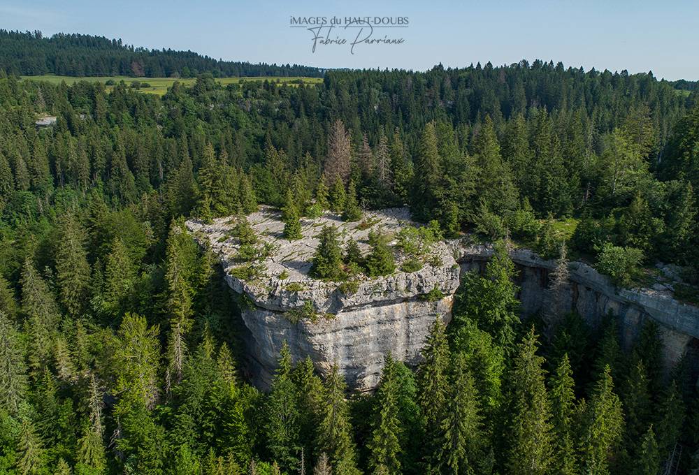 NATURE SINGULIÈRE juin lieu inconnu